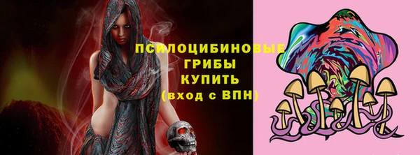 кокс Арсеньев