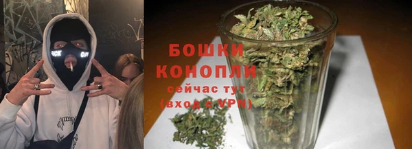 ПСИЛОЦИБИНОВЫЕ ГРИБЫ Балабаново