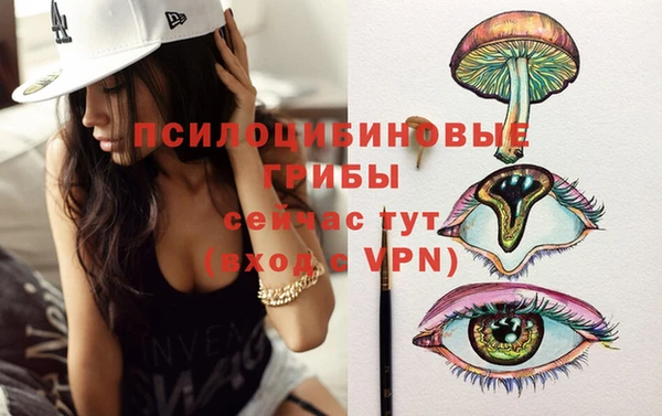 винт Армянск