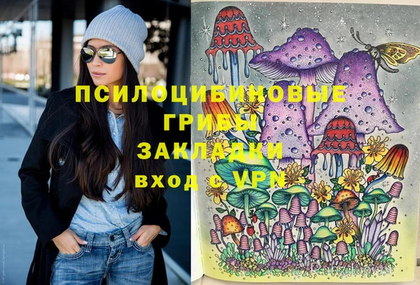 кокс Арсеньев