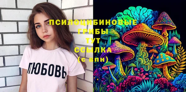 кокс Арсеньев