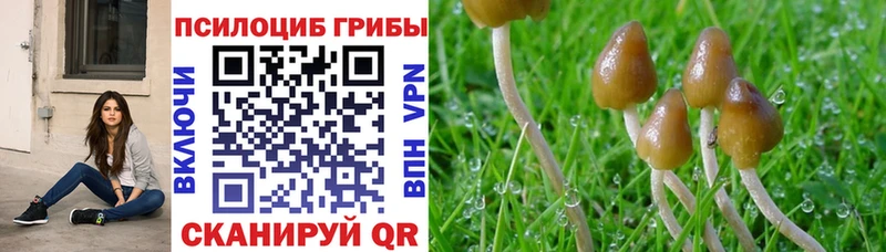 Галлюциногенные грибы прущие грибы  Свирск 